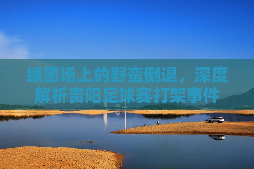 绿茵场上的野蛮倒退,深度解析贵阳足球赛打架事件