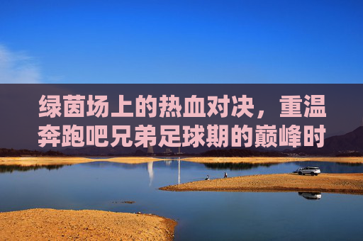 绿茵场上的热血对决,重温奔跑吧兄弟足球期的巅峰时刻