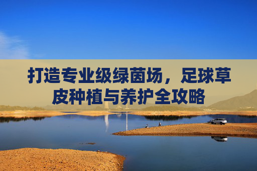打造专业级绿茵场，足球草皮种植与养护全攻略