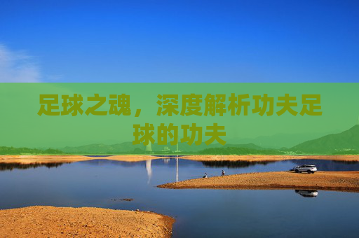 足球之魂,深度解析功夫足球的功夫