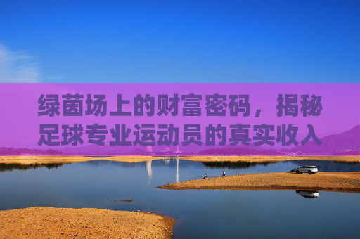 绿茵场上的财富密码,揭秘足球专业运动员的真实收入