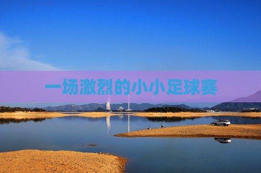 一场激烈的小小足球赛