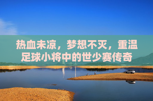 热血未凉，梦想不灭，重温足球小将中的世少赛传奇