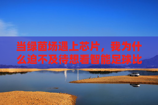 当绿茵场遇上芯片,我为什么迫不及待想看智能足球比赛