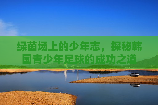 绿茵场上的少年志，探秘韩国青少年足球的成功之道