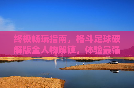 终极畅玩指南，格斗足球破解版全人物解锁，体验最强阵容