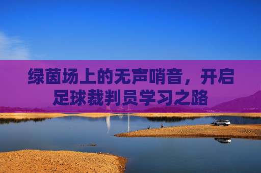 绿茵场上的无声哨音,开启足球裁判员学习之路