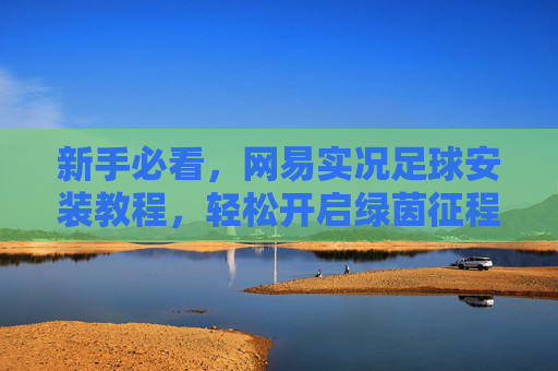新手必看,网易实况足球安装教程,轻松开启绿茵征程