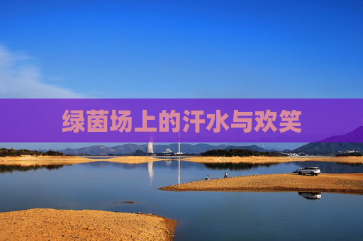绿茵场上的汗水与欢笑