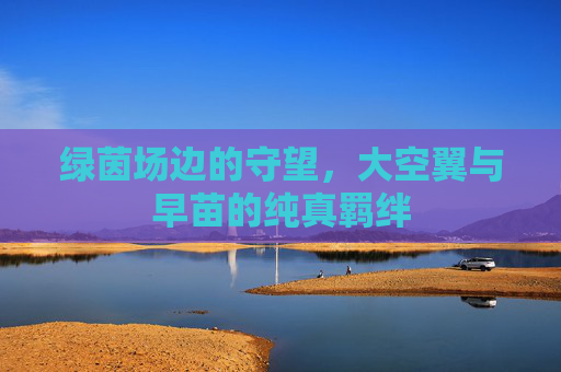 绿茵场边的守望,大空翼与早苗的纯真羁绊