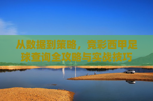 从数据到策略,竞彩西甲足球查询全攻略与实战技巧