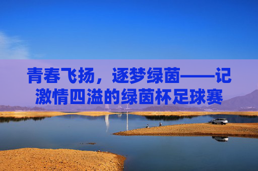 青春飞扬,逐梦绿茵——记激情四溢的绿茵杯足球赛