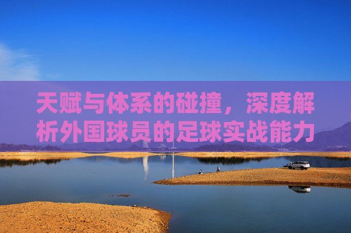 天赋与体系的碰撞,深度解析外国球员的足球实战能力