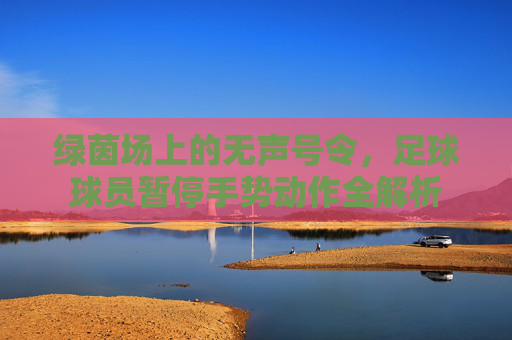 绿茵场上的无声号令,足球球员暂停手势动作全解析
