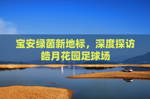 宝安绿茵新地标,深度探访皓月花园足球场