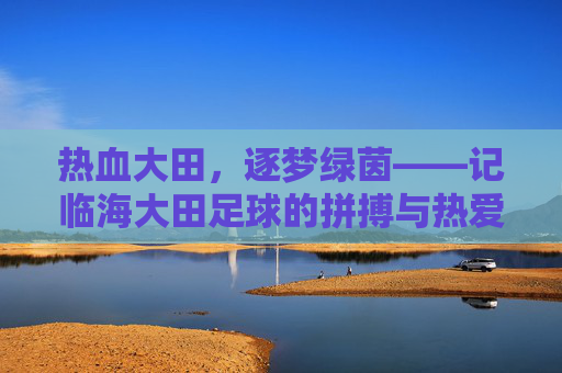 热血大田，逐梦绿茵——记临海大田足球的拼搏与热爱