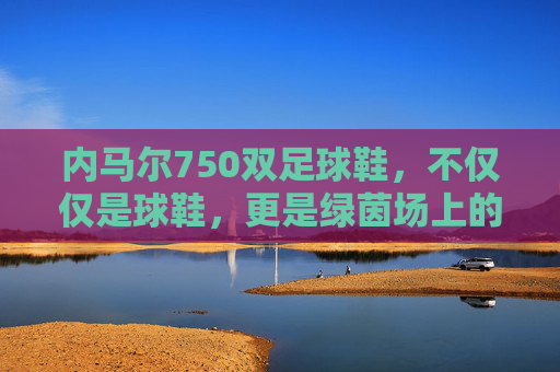 内马尔750双足球鞋,不仅仅是球鞋,更是绿茵场上的艺术收藏