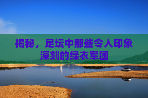 揭秘,足坛中那些令人印象深刻的绿衣军团