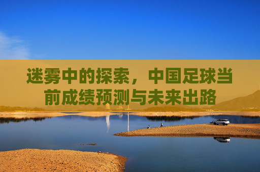 迷雾中的探索,中国足球当前成绩预测与未来出路