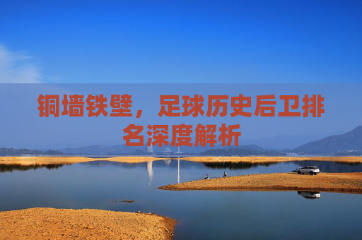 铜墙铁壁,足球历史后卫排名深度解析