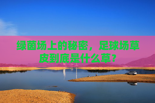 绿茵场上的秘密，足球场草皮到底是什么草？