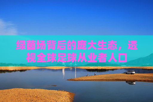 绿茵场背后的庞大生态,透视全球足球从业者人口
