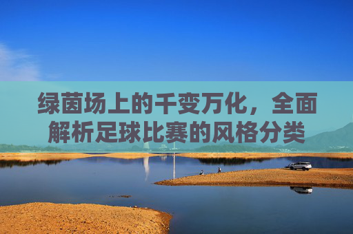 绿茵场上的千变万化，全面解析足球比赛的风格分类