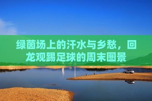 绿茵场上的汗水与乡愁,回龙观踢足球的周末图景