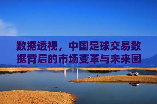 数据透视,中国足球交易数据背后的市场变革与未来图景