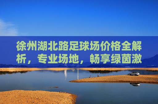 徐州湖北路足球场价格全解析,专业场地,畅享绿茵激情