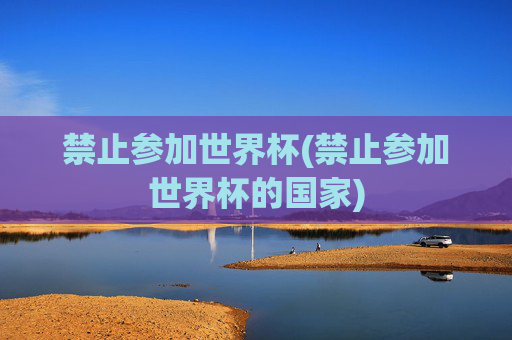 禁止参加世界杯(禁止参加世界杯的国家)