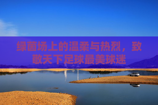 绿茵场上的温柔与热烈，致敬天下足球最美球迷