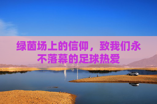 绿茵场上的信仰,致我们永不落幕的足球热爱