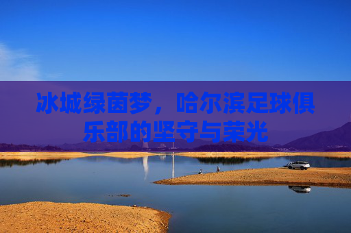 冰城绿茵梦，哈尔滨足球俱乐部的坚守与荣光