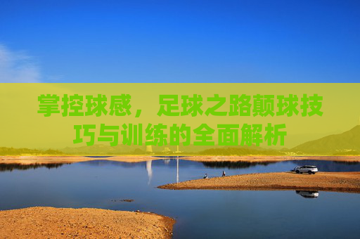 掌控球感,足球之路颠球技巧与训练的全面解析