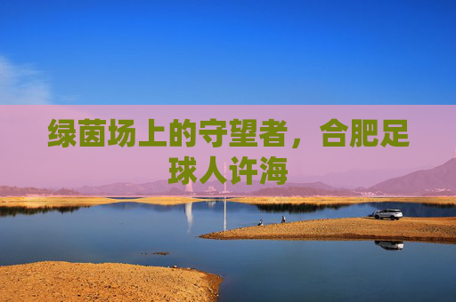 绿茵场上的守望者,合肥足球人许海