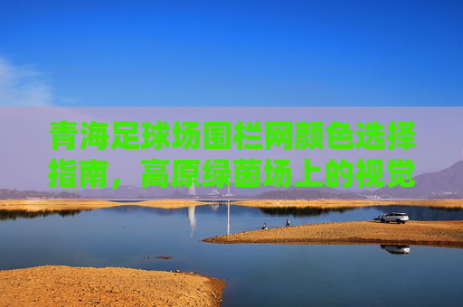 青海足球场围栏网颜色选择指南,高原绿茵场上的视觉与实用美学