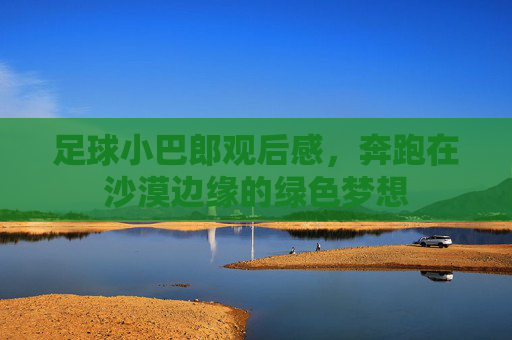 足球小巴郎观后感,奔跑在沙漠边缘的绿色梦想