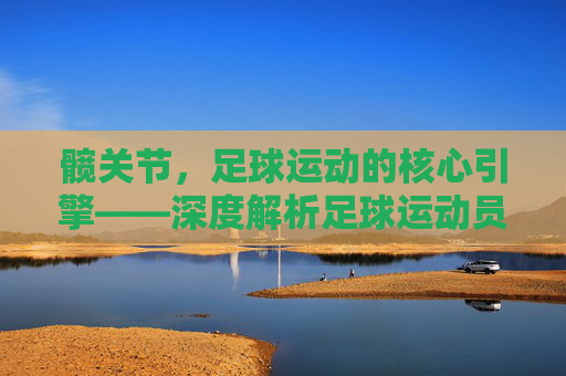 髋关节，足球运动的核心引擎——深度解析足球运动员髋关节训练体系