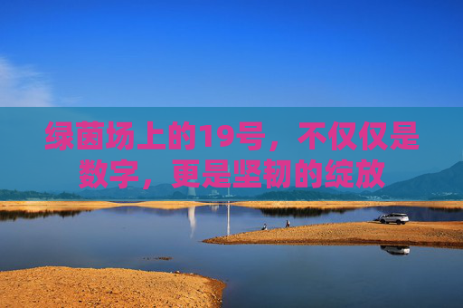 绿茵场上的19号，不仅仅是数字，更是坚韧的绽放