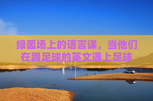 绿茵场上的语言课,当他们在踢足球的英文遇上足球