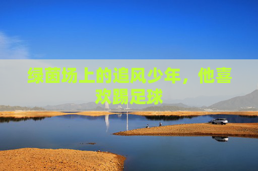 绿茵场上的追风少年,他喜欢踢足球