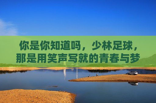你是你知道吗,少林足球,那是用笑声写就的青春与梦想
