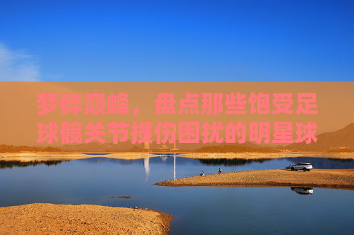 梦碎巅峰,盘点那些饱受足球髋关节损伤困扰的明星球员