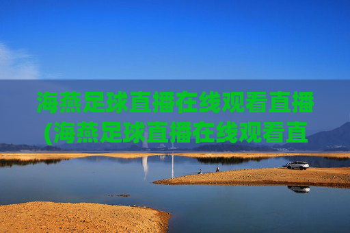 海燕足球直播在线观看直播(海燕足球直播在线观看直播回放)