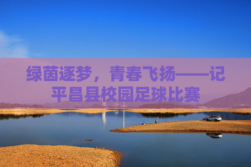 绿茵逐梦,青春飞扬——记平昌县校园足球比赛