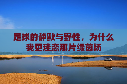 足球的静默与野性,为什么我更迷恋那片绿茵场