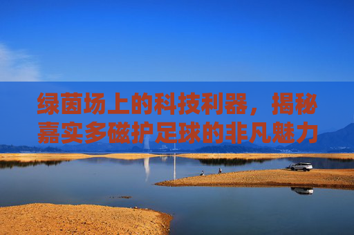 绿茵场上的科技利器,揭秘嘉实多磁护足球的非凡魅力
