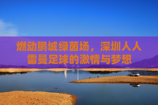 燃动鹏城绿茵场,深圳人人雷曼足球的激情与梦想