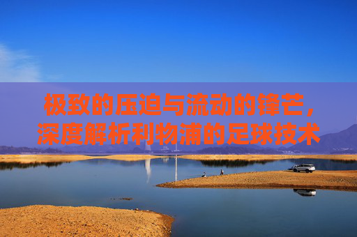极致的压迫与流动的锋芒,深度解析利物浦的足球技术特点